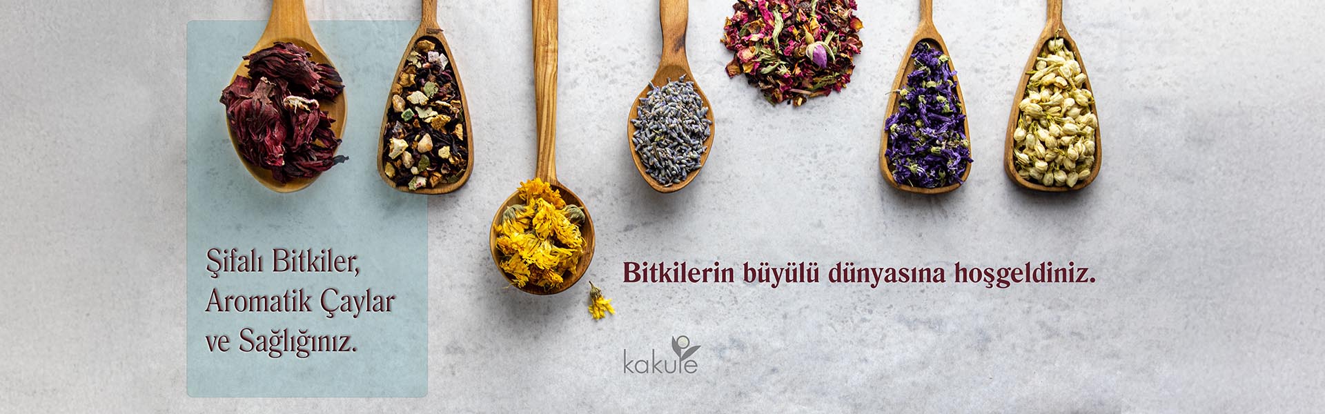 Bitkiler