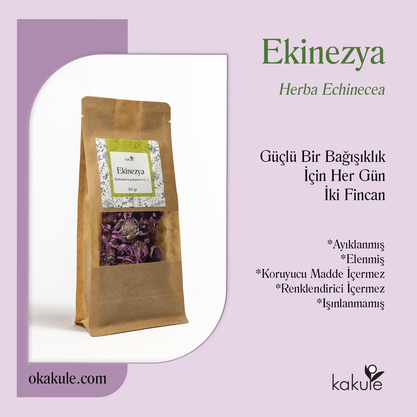 Ekinezya Nedir? Ekinezya �ay� Nas�l Kullan�l�r? | Okakule